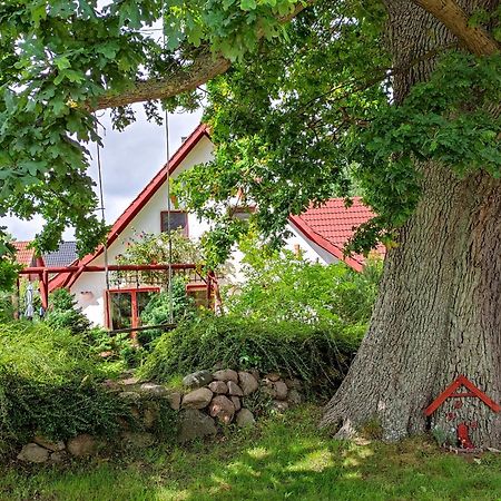 Ferienwohnung Haus Jasmin Bodstedt Exterior foto